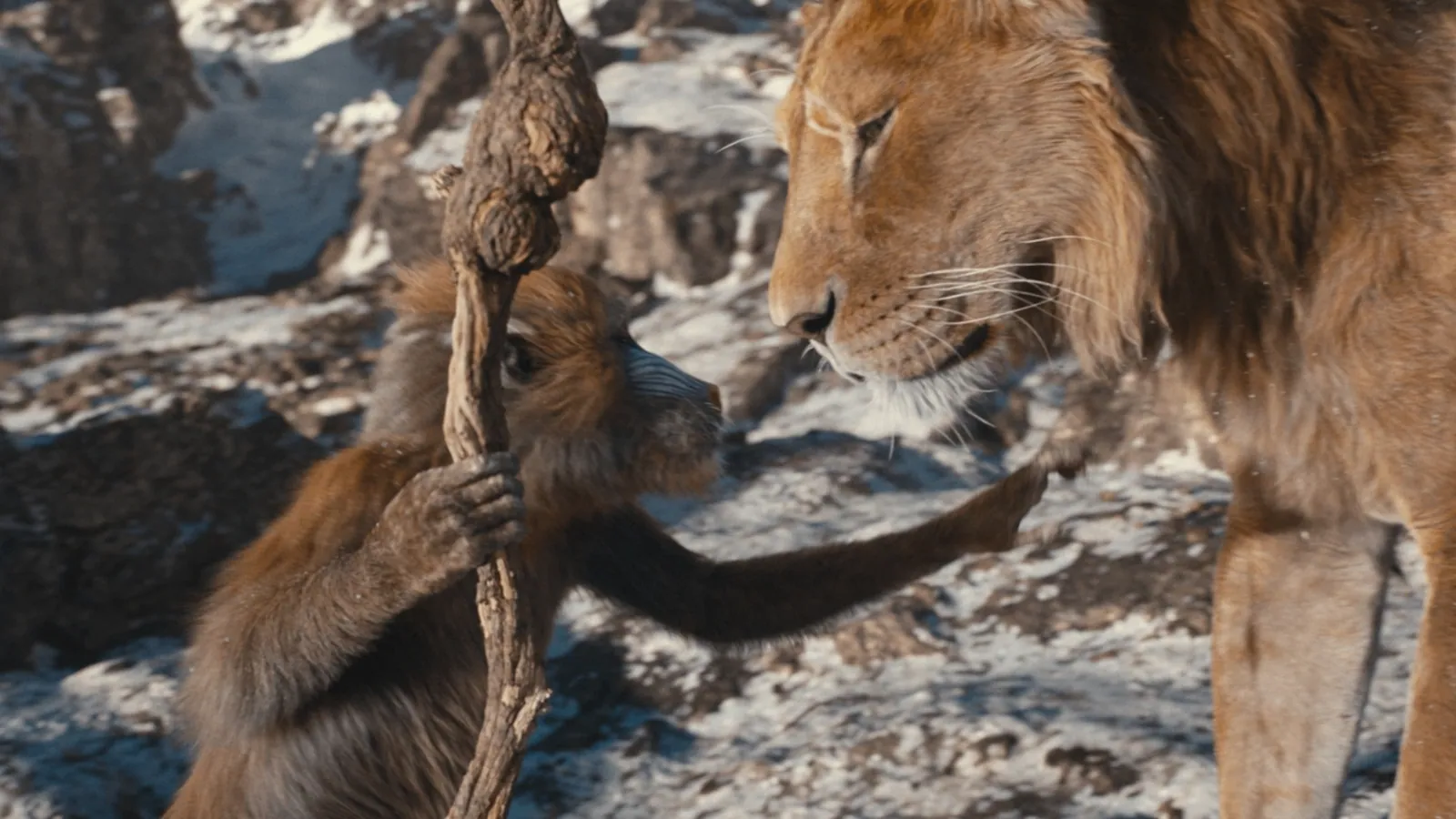 Mufasa: The Lion King - 1